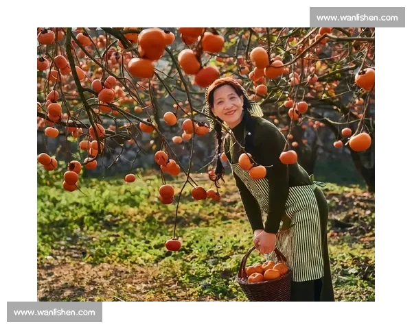 处暑时节万物渐收秋意浓丰收景象映照人间美好
